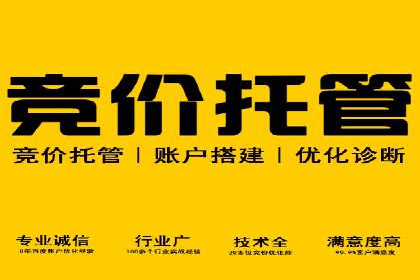 SEM托管公司成功案例：助力企业快速成长